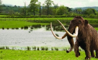 Ice age ponds