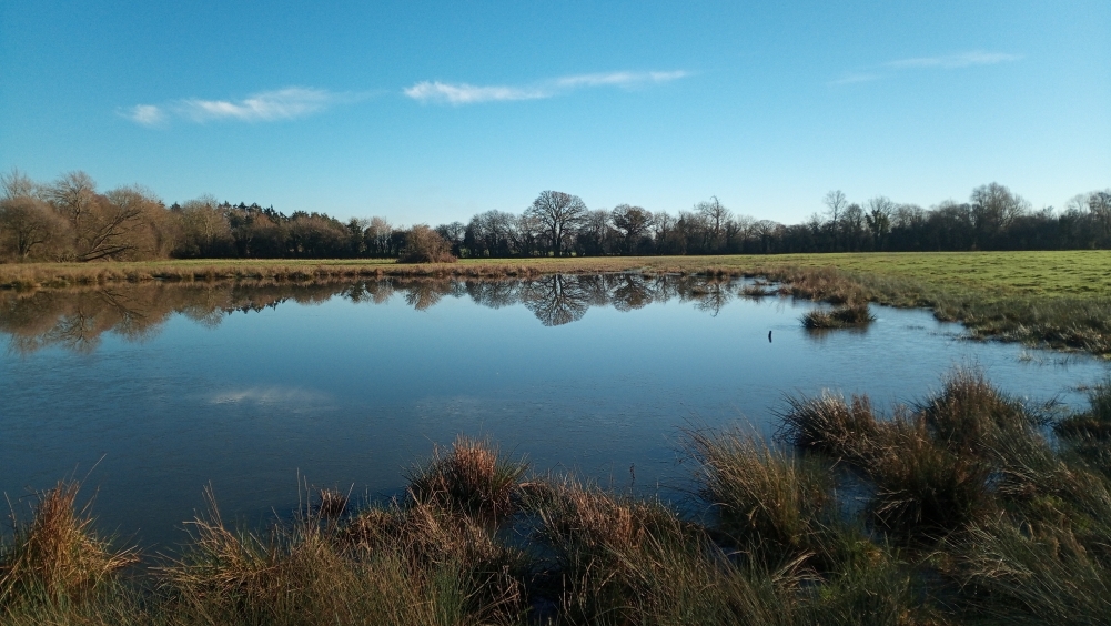 Bishon Common, Bishopstone